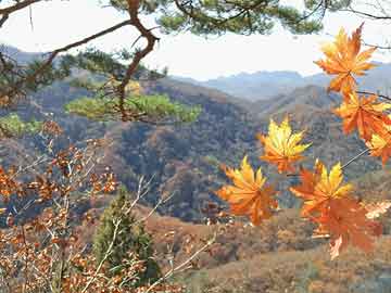 北海潤(rùn)和花園最新動(dòng)態(tài)揭秘，小巷深處的意外發(fā)現(xiàn)