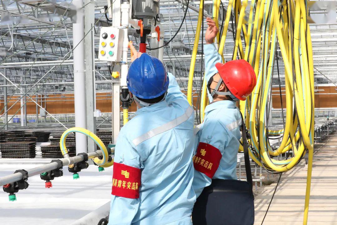 草海機(jī)場(chǎng)最新動(dòng)態(tài)揭秘，建設(shè)進(jìn)展、航班信息及未來展望