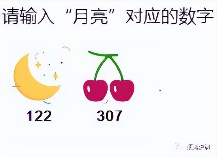最新滬牌價格揭秘，小巷中的特色小店探秘