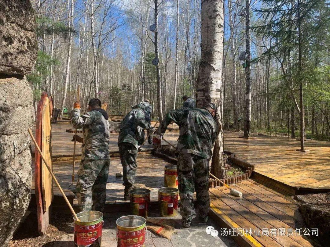 探尋神秘寶石世界的獨(dú)特魅力，最新奇石新聞報道