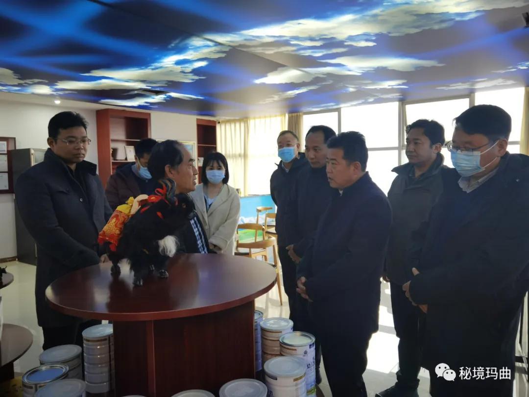 高原之寶上市，學(xué)習(xí)、蛻變與自信的輝煌之旅