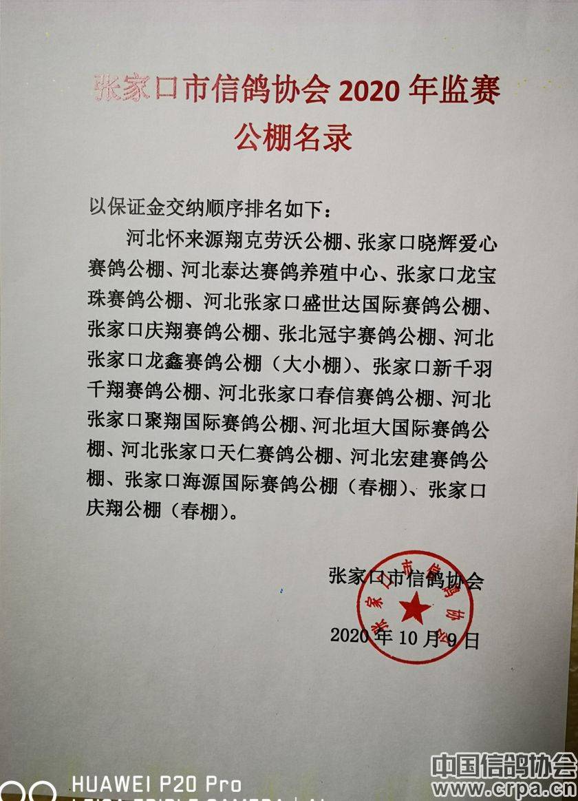 東光信鴿協(xié)會(huì)最新通告，小巷深處的獨(dú)特風(fēng)味揭秘與信鴿活動(dòng)更新通知