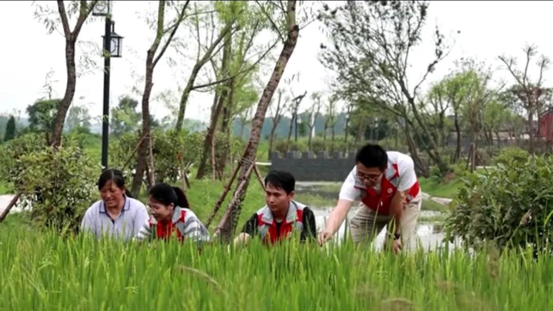 曲陽縣城最新招聘信息揭秘，小巷中的獨特小店等你來探索！