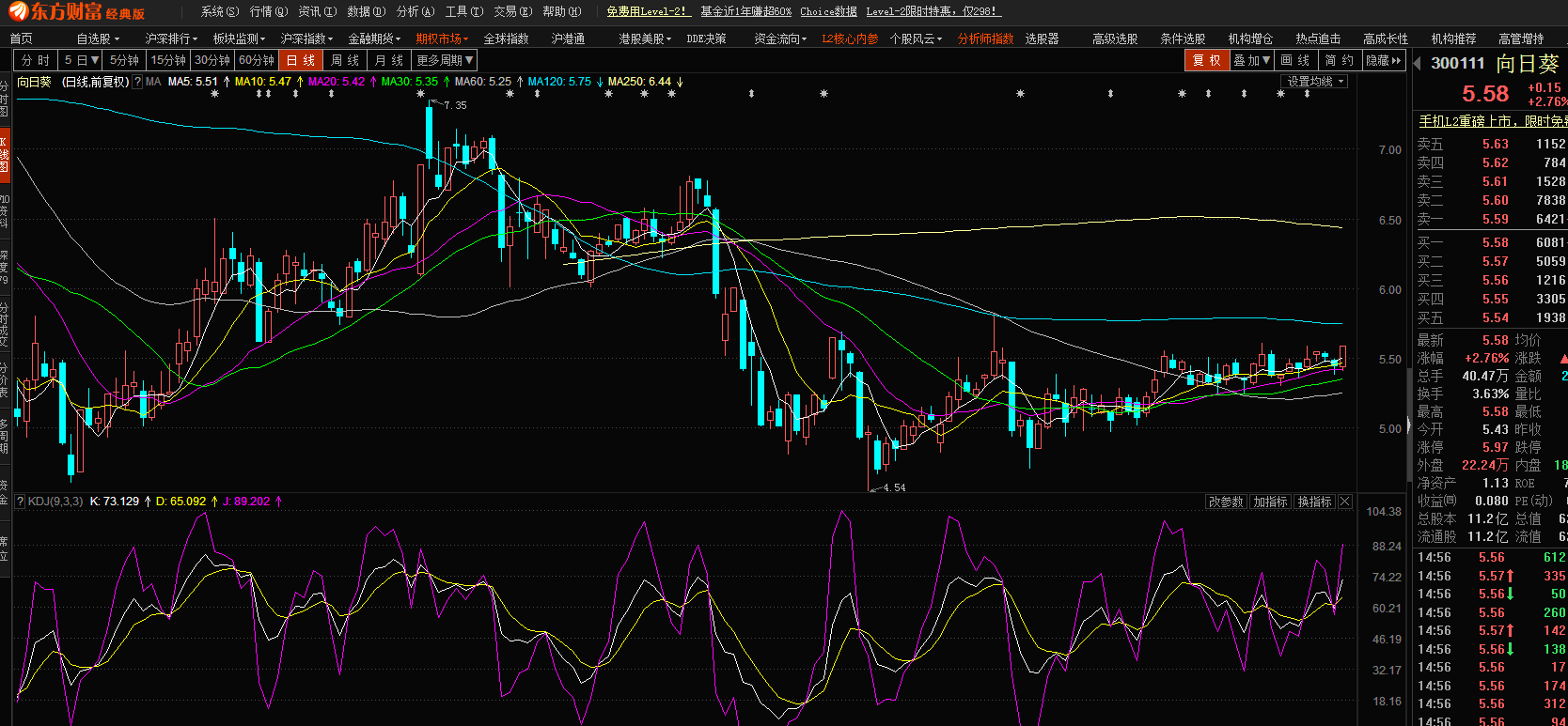 股市小天地，友情大天地——我與股票300141的日常故事分享