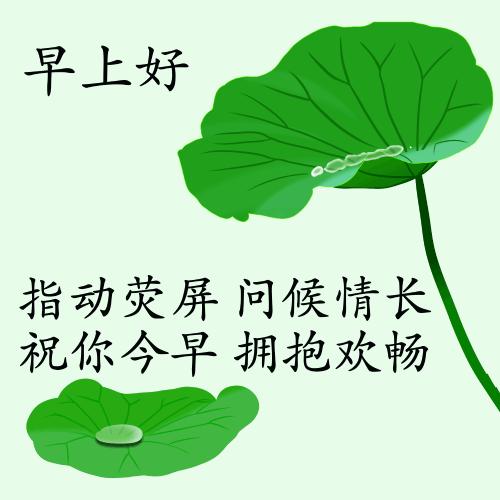 最新疫情動(dòng)態(tài)下的自然探索之旅，追尋內(nèi)心的平和與寧?kù)o