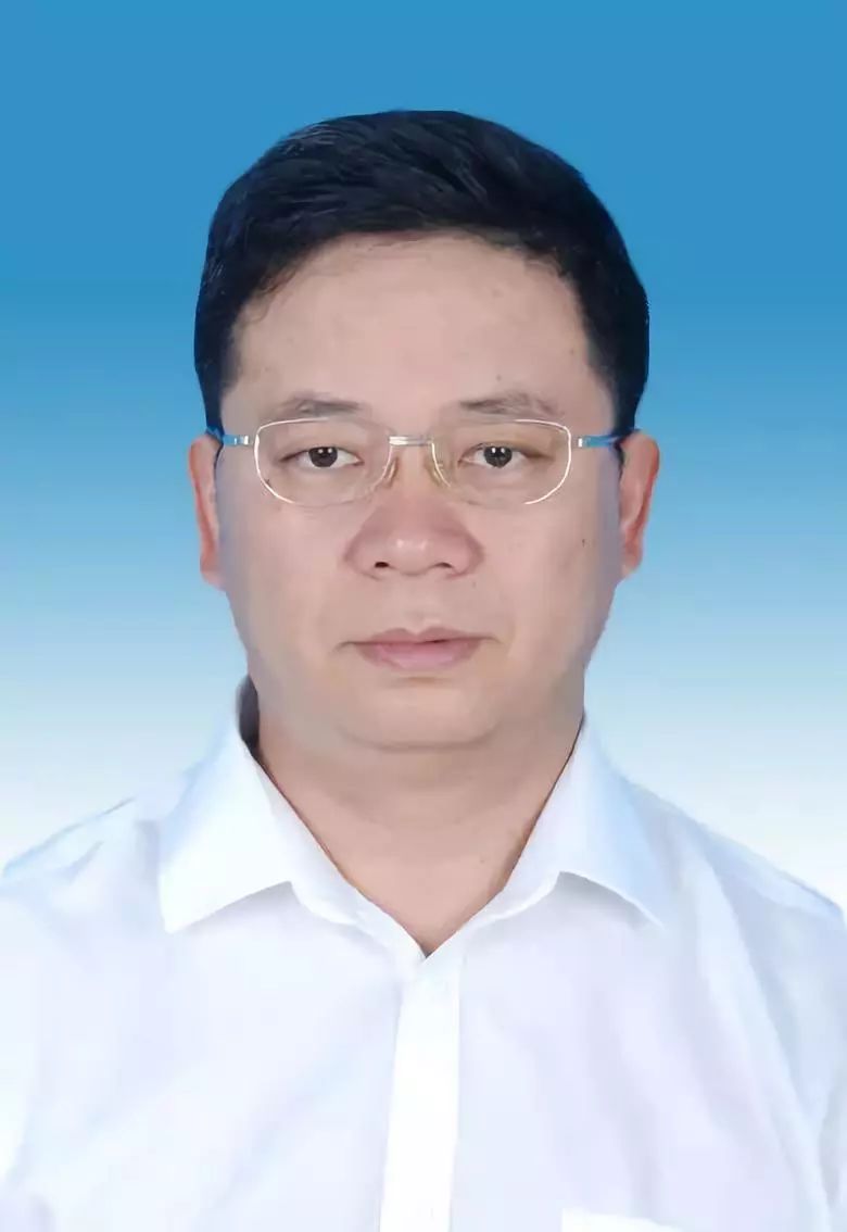 開遠市干部任免信息詳解，最新任免指南與動態(tài)更新