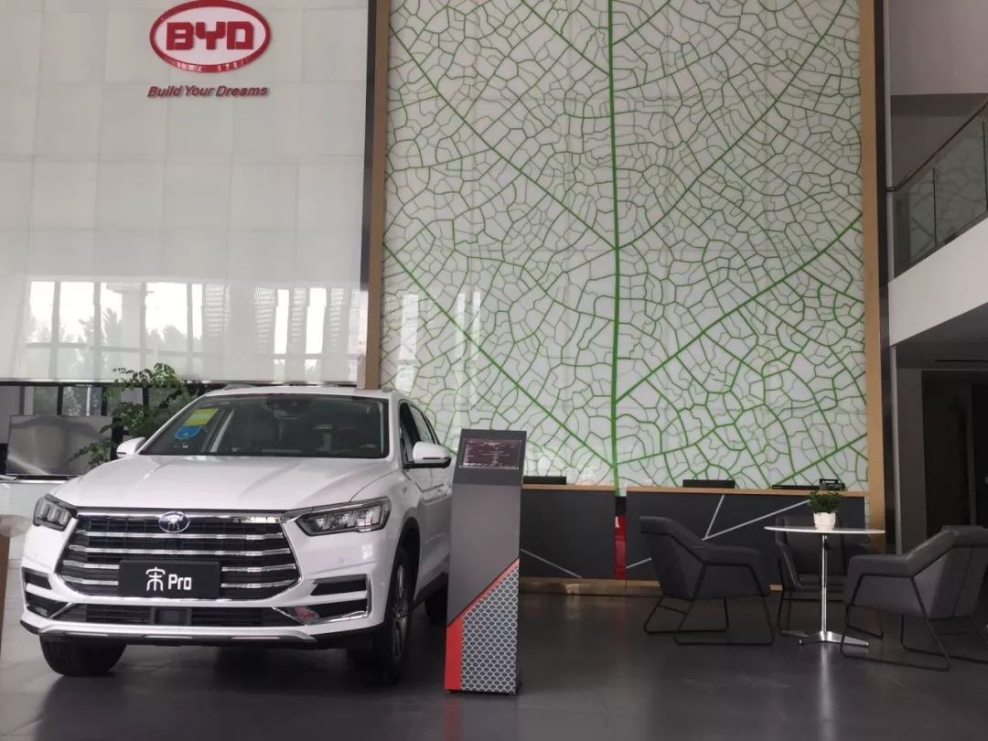 重磅更新，比亞迪最新招聘信息揭秘???