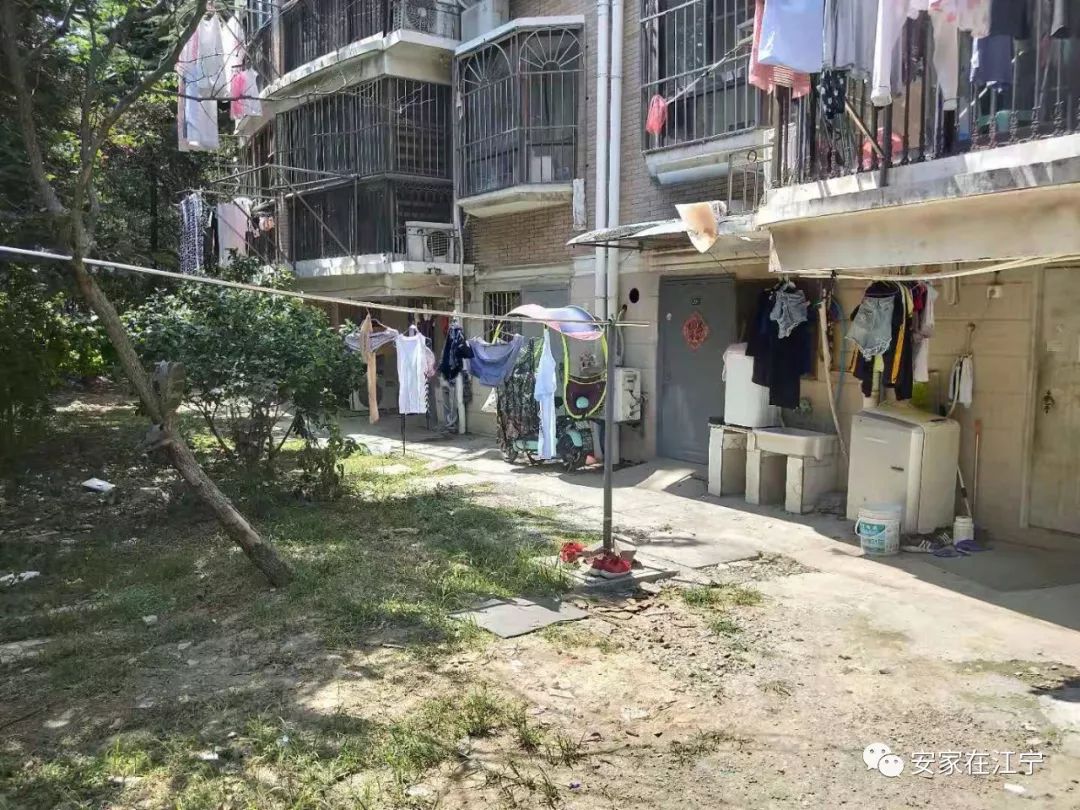 最新大雜亂時(shí)代，混沌與秩序的重建之路