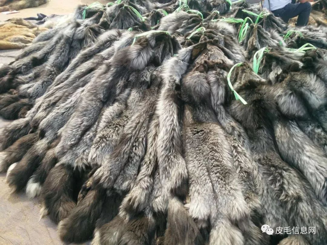 貉皮尚村最新價(jià)格，小巷中的時(shí)尚皮草寶藏探索