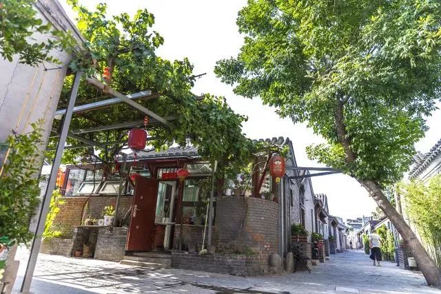 草社區(qū)美食探險之旅，探尋小巷中的隱藏寶藏與最新地址揭秘