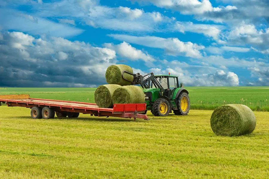 農(nóng)業(yè)最新動態(tài)，時代的脈搏與綠色希望共舞