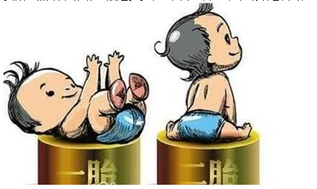 最新雙胞胎補(bǔ)助政策，攜手同行，助力孕育夢想之路