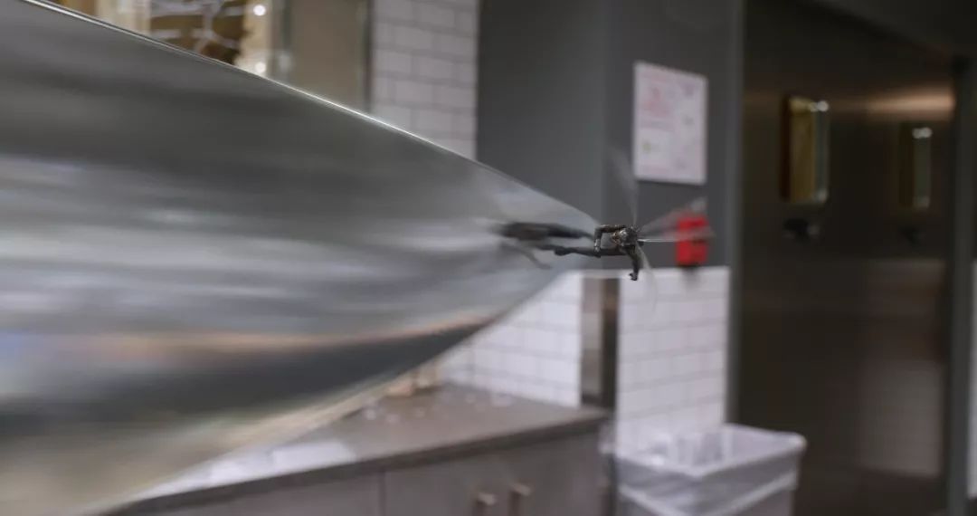 最新電泳技術(shù)，一路向前，學(xué)習(xí)成就自信之源