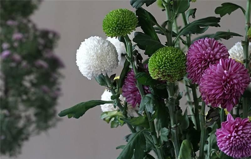 最新娛樂頭條，躍上成功舞臺(tái)的魔力之旅，自信與成就感的碰撞