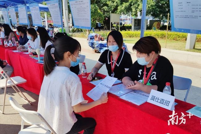 石碣最新招聘動態(tài)，把握職業(yè)機遇，共創(chuàng)美好未來之路