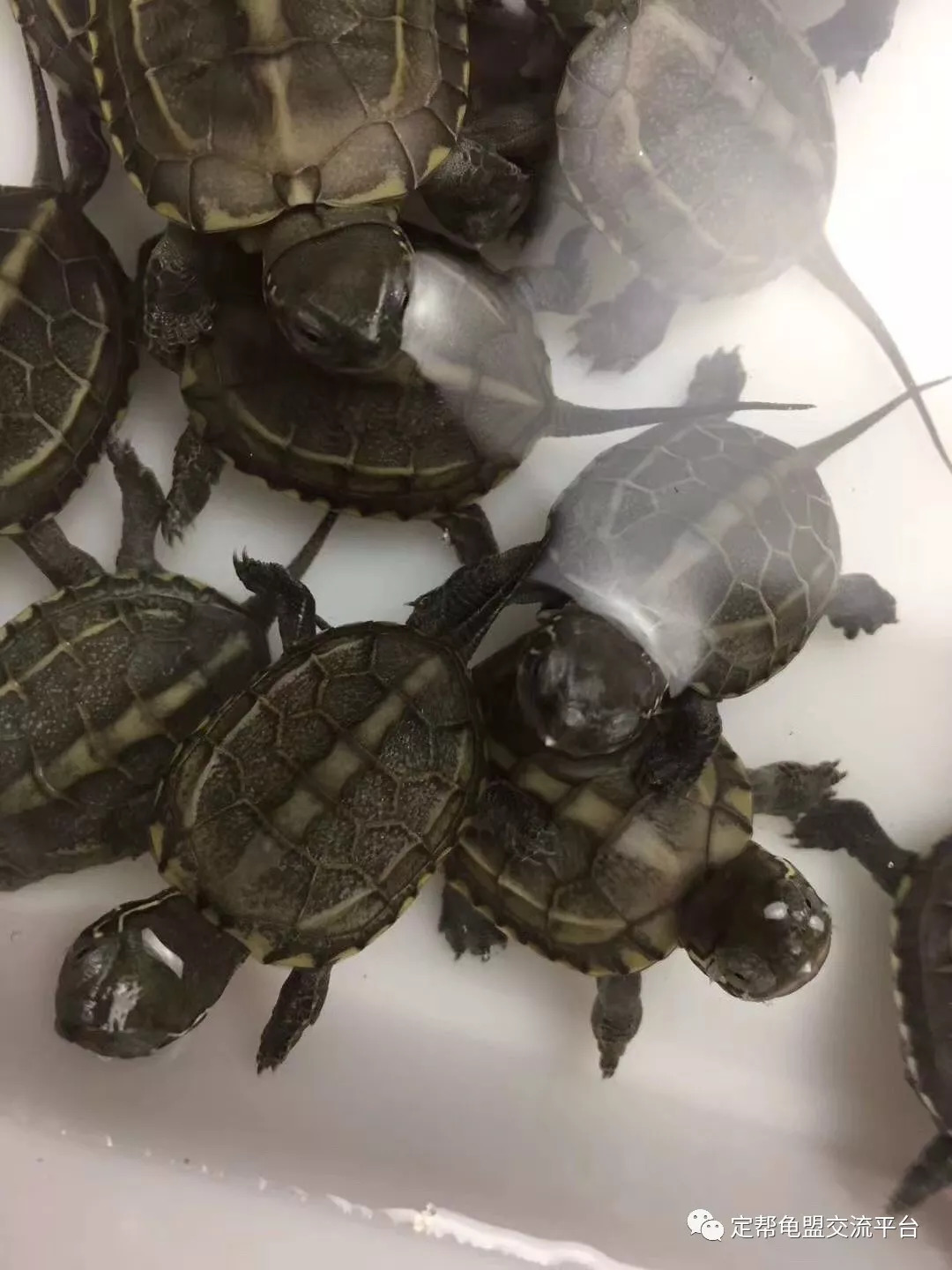 工礦燈具 第127頁