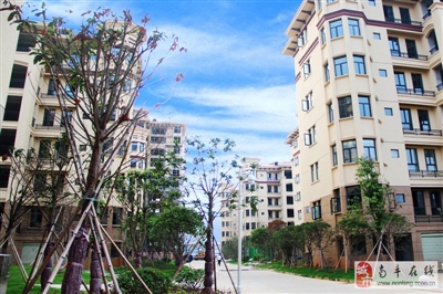 江西南豐最新房價(jià)分析與探討