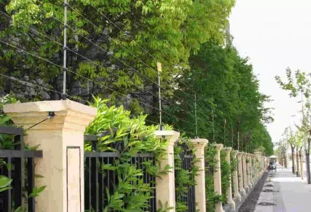 山河藥輔最新動態(tài)，引領(lǐng)醫(yī)藥行業(yè)新篇章