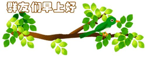 最新清晨祝福短信，晨曦中的溫暖問候，傳遞美好祝愿與關懷