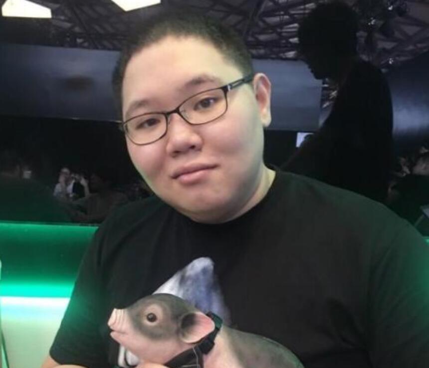 PDD最新直播視頻，直播界的璀璨明星閃耀時(shí)刻