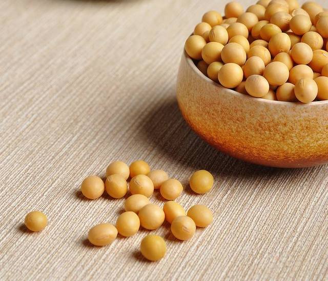 國產(chǎn)大豆最新價格，時代的變遷與影響