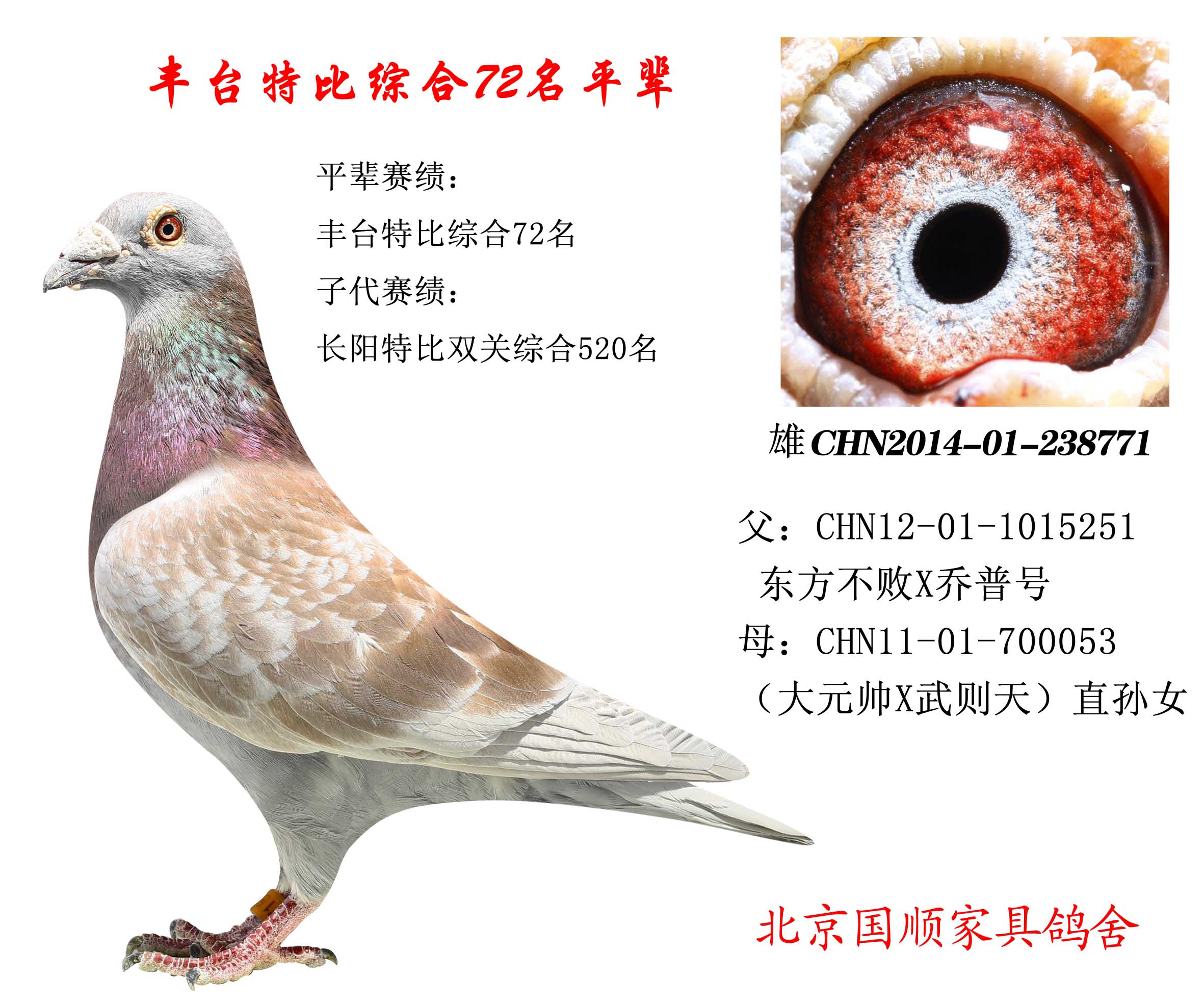 燈飾燈具 第113頁(yè)