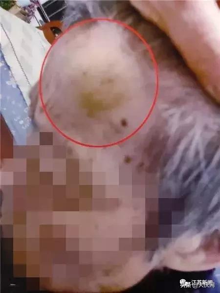 揪脖子最新視頻，探秘小巷風(fēng)情小店，獨(dú)家揭秘！