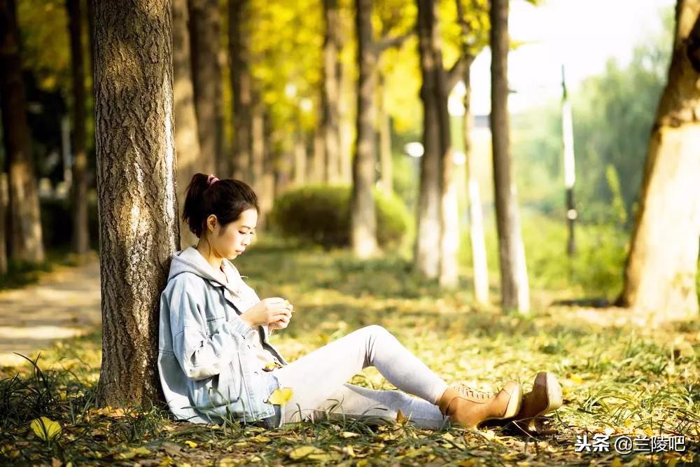 郯城與邳州沖突的深度解析與案例分析，最新進展與案例分析