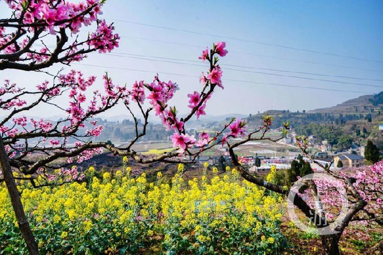 合川最新科技新聞，高科技產(chǎn)品引領(lǐng)未來生活潮流