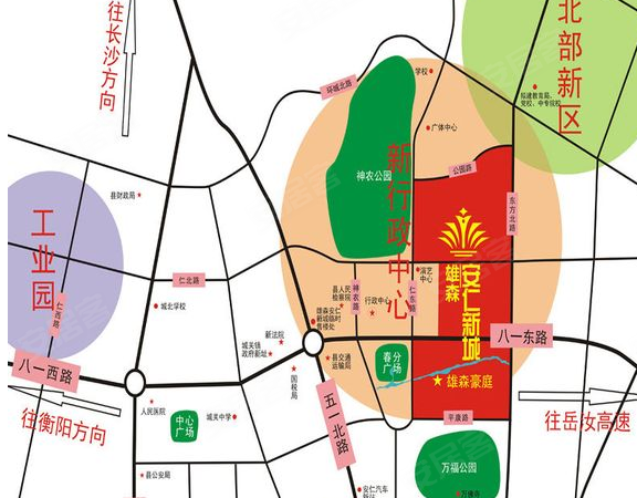 安仁雄森最新動(dòng)態(tài)揭秘，小巷中的隱藏寶藏！