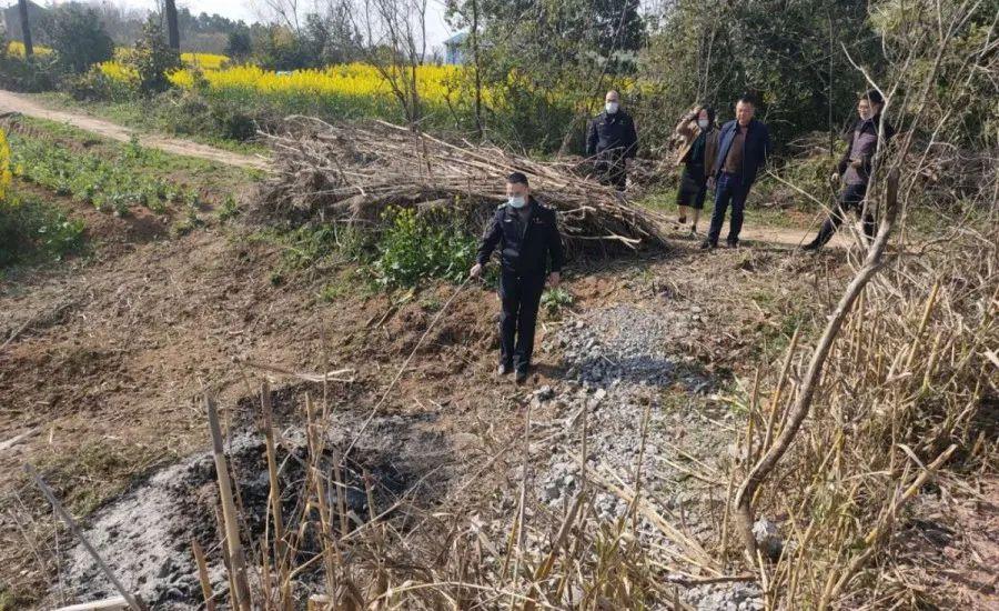 溧陽最新天氣，氣象變遷與地域影響探究