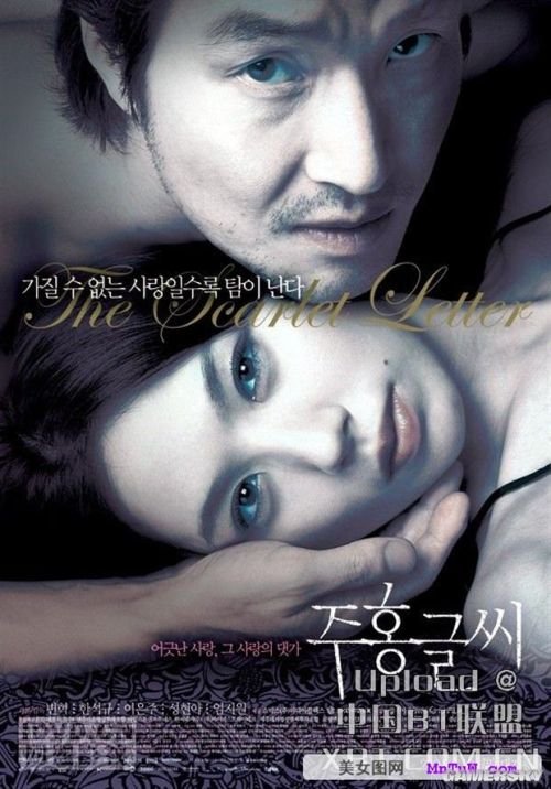 最新內(nèi)地倫理電影探索與啟示，揭示社會倫理的啟示與價(jià)值