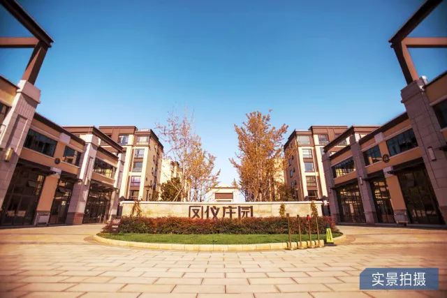 鳳儀莊園最新動態(tài)，家的溫馨與友情的綻放時刻