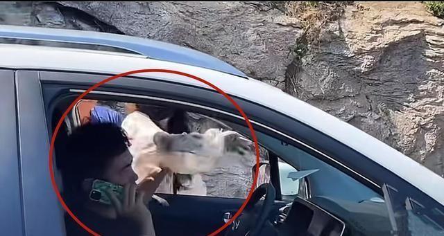 奔馳最新廣告，小明的溫情之旅啟程了