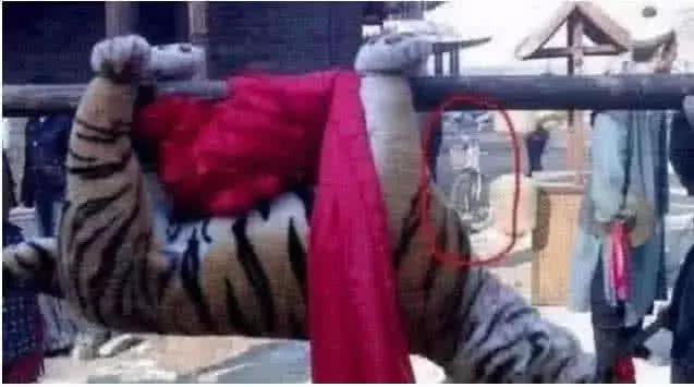 最新打虎消息，探尋內(nèi)心平靜的打虎之旅