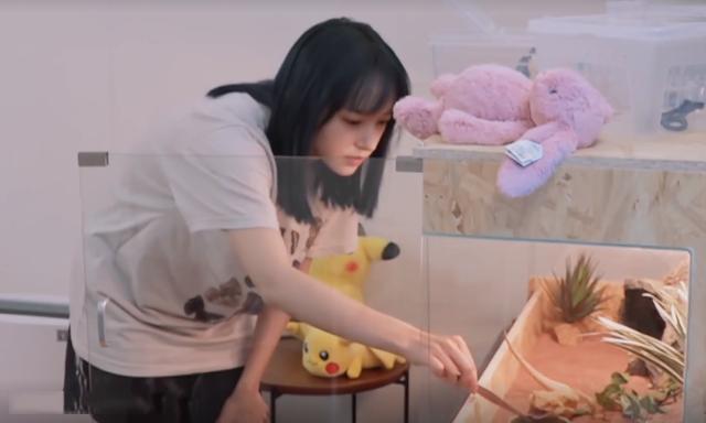 程瀟最新綜藝節(jié)目，心動(dòng)瞬間，不容錯(cuò)過！?