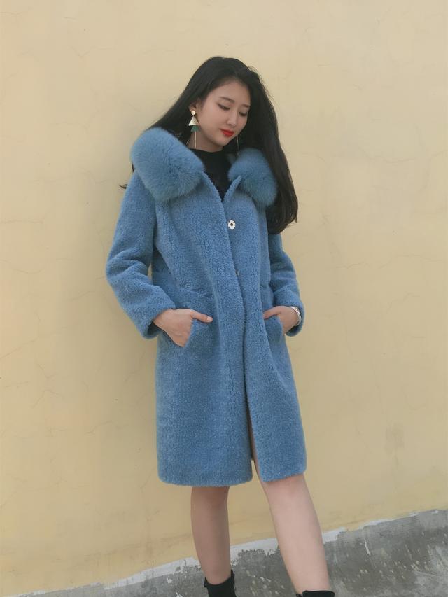 三七花最新價格揭秘，溫馨小故事中的尋找之旅