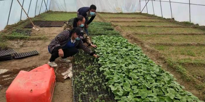 策勒最新招聘啟航人才新篇章，學習變化，擁抱自信與成就，啟程人生新征程！