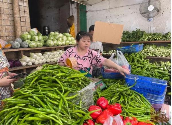 小蔥價格最新行情及分析報告