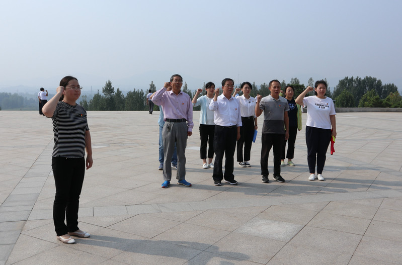 肥城房產(chǎn)最新動態(tài)，市場走勢、熱門區(qū)域與案例分析