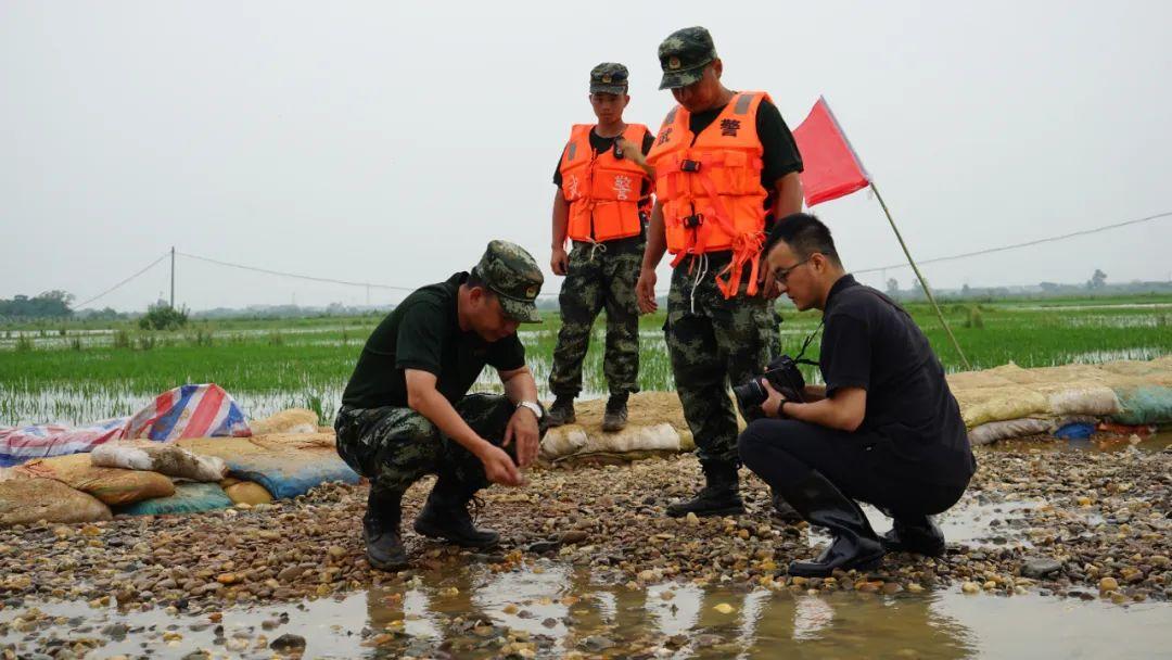 永修最新聞，背景探尋與時代地位的重要事件回顧