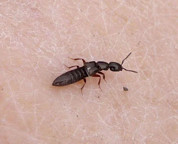 高效應對問題關鍵策略，最新處理方法詳解