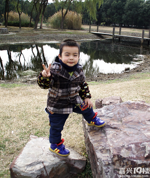 小六最新，時(shí)代背景下的重要印記與事件回顧