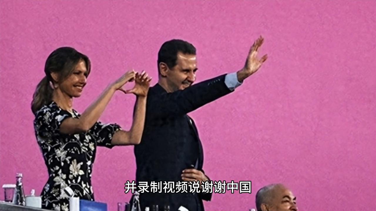 最新高包機(jī)科技，重塑生活，前沿體驗(yàn)盡在掌握