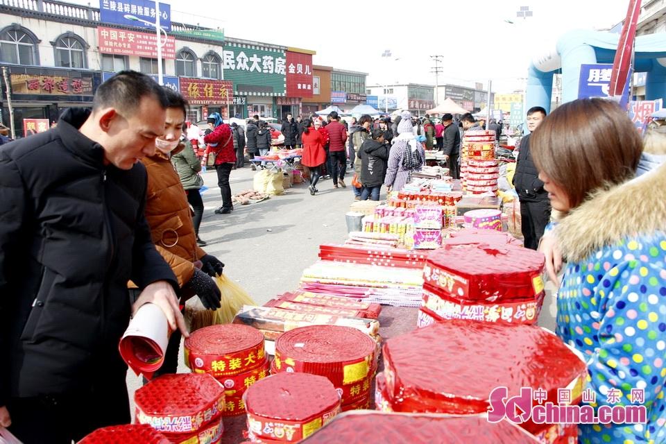 淘元素最新，淘淘的奇妙冒險之旅與友情的溫暖體驗
