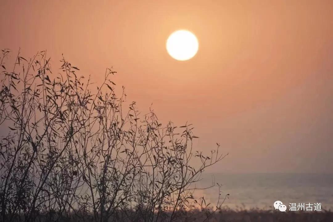 最新瘟疫詩詞，時代之聲與人文關懷的交融展現(xiàn)