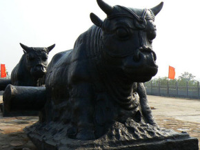 鐵牛視頻最新精彩呈現(xiàn)，領(lǐng)略與眾不同的世界！