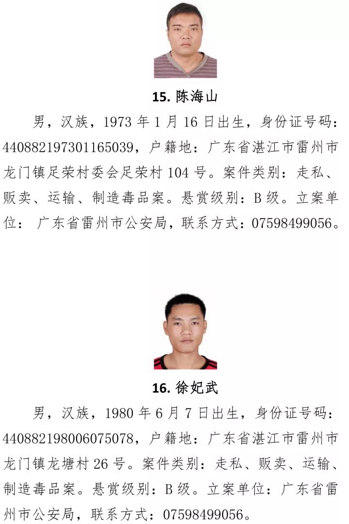 最新湛江人，掌握新技能與任務(wù)完成步驟指南