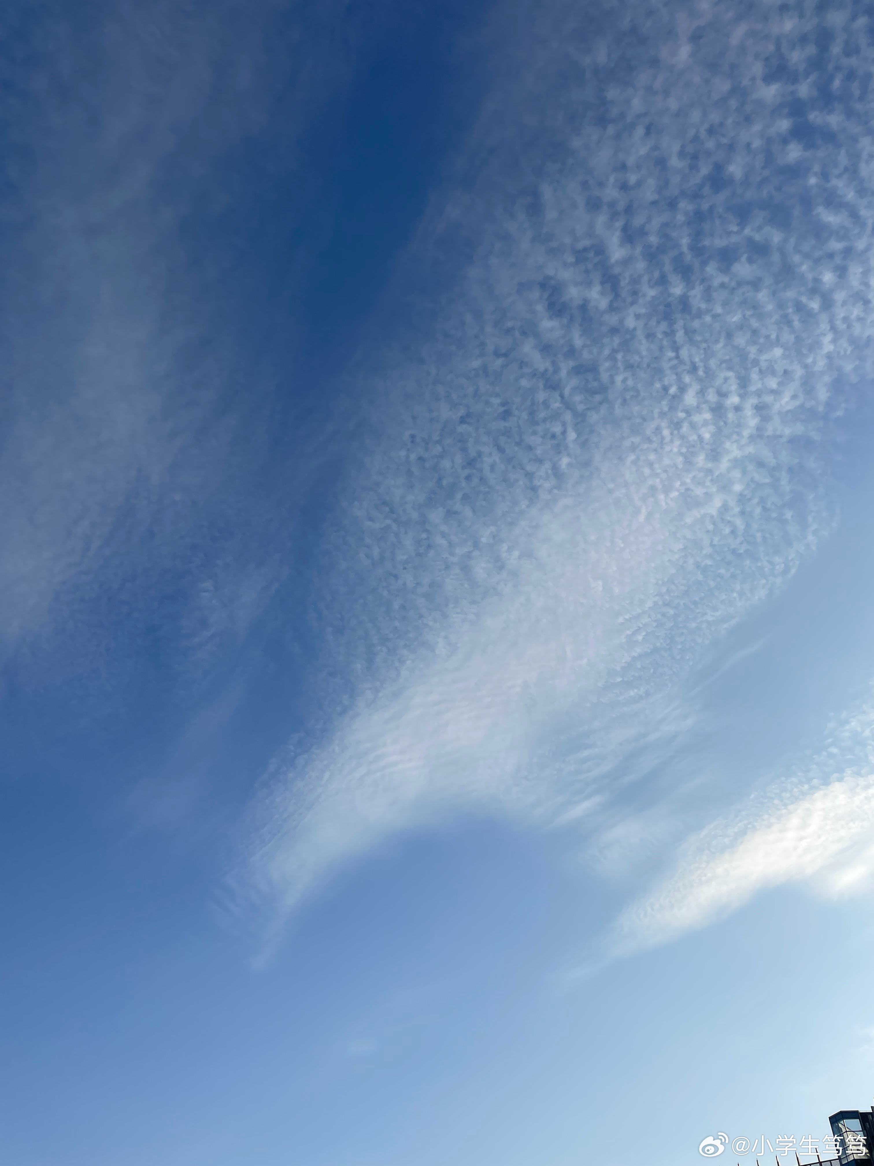 云飄飄最新，小巷深處的獨特風(fēng)味美食體驗