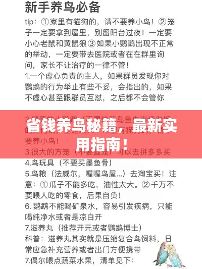 最新養(yǎng)鳥法規(guī)解析，觀點(diǎn)闡述與深度探討